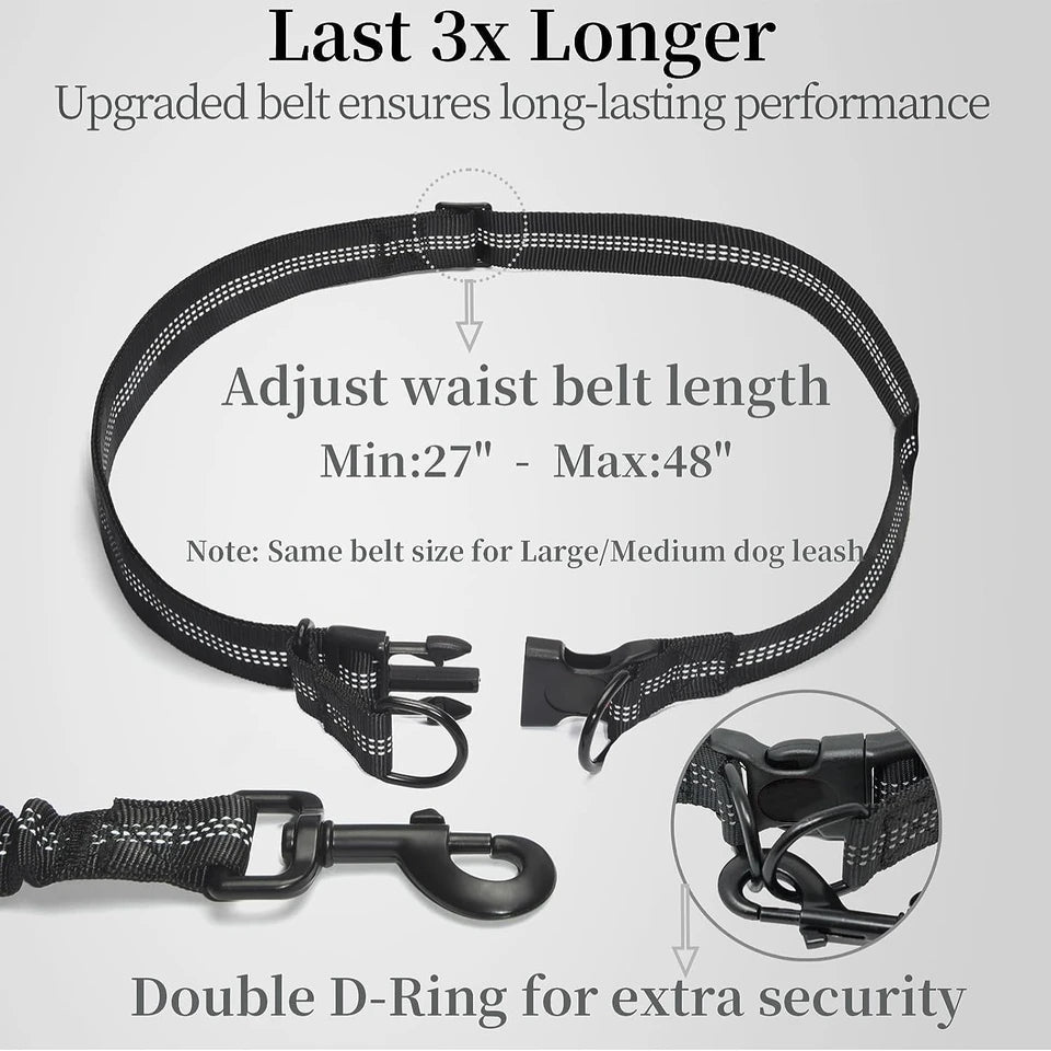 Hands-Free Dog Leash with Bungee – Ideal for Jogging & Walking