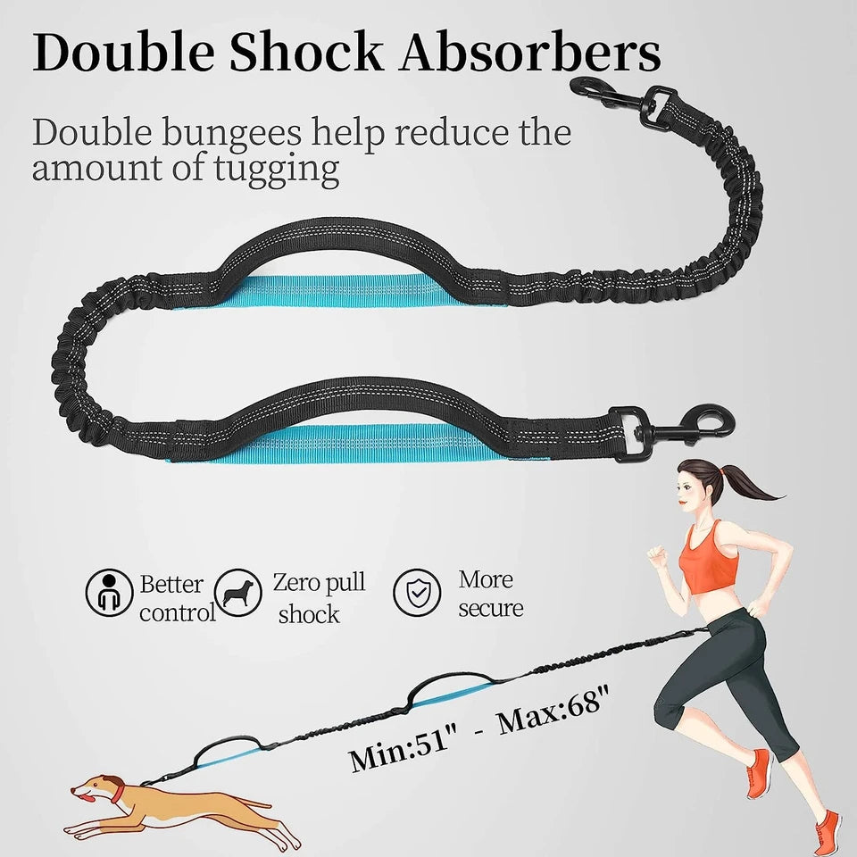 Hands-Free Dog Leash with Bungee – Ideal for Jogging & Walking