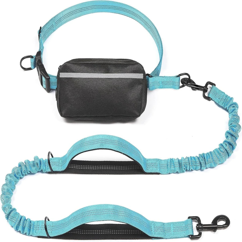 Hands-Free Dog Leash with Bungee – Ideal for Jogging & Walking