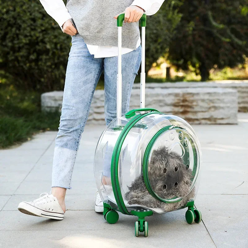 Transparent Pet Carrier with Silent Wheels – Perfect for Cats & Small Dogs