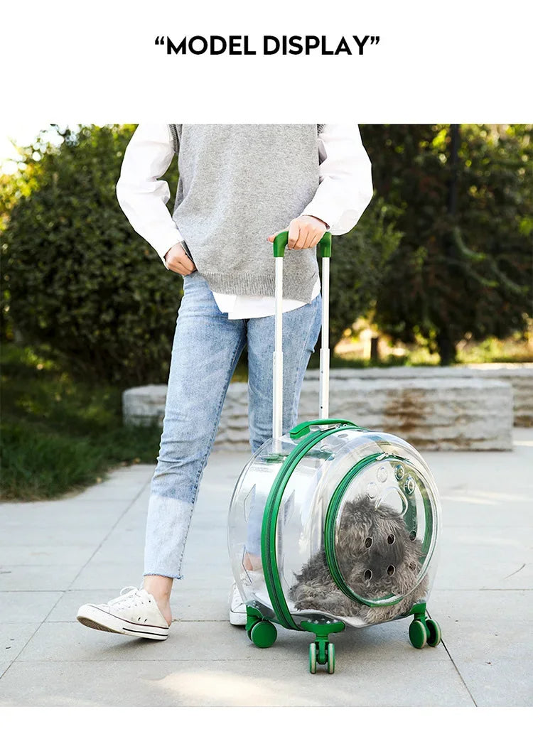 Transparent Pet Carrier with Silent Wheels – Perfect for Cats & Small Dogs