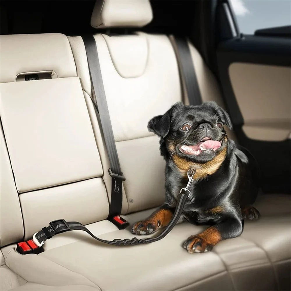 Adjustable Dog Seatbelt Harness – Secure & Comfortable for Any Ride